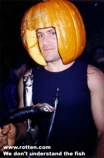 pumpkin-helmet.jpeg