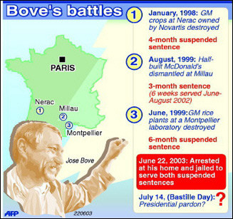 bove.jpg