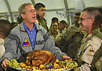 bushturkey.jpg