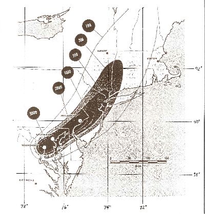 CBonNYCmap.jpg