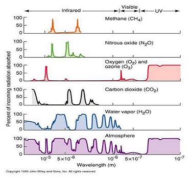 A_plot_of_Absorbance-1vs.JPG