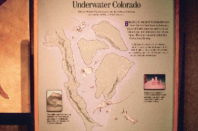 010_15A Underwater Colorado.jpg